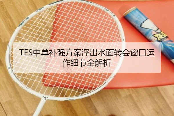 TES中单补强方案浮出水面转会窗口运作细节全解析